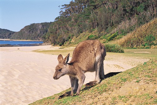 Séjour en Australie